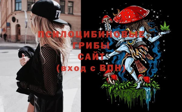 гашик Алзамай