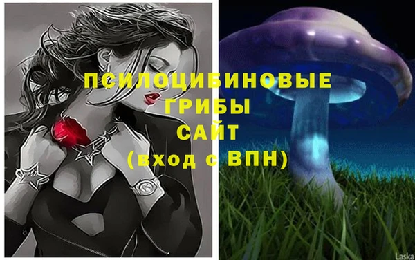 гашик Алзамай
