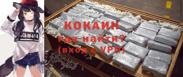 гашик Алзамай